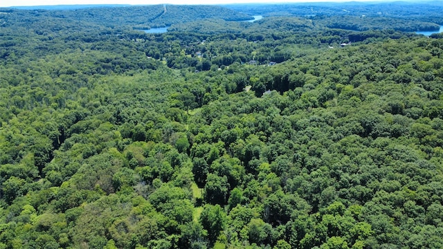 118 Scenic Ridge Dr, Brewster, NY 10509 - photo 46