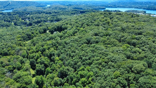 118 Scenic Ridge Dr, Brewster, NY 10509 - photo 48