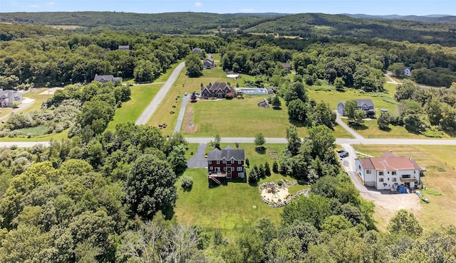 2 Primrose Ln, Chester, NY 10918 - aerial view of a heavily wooded area
