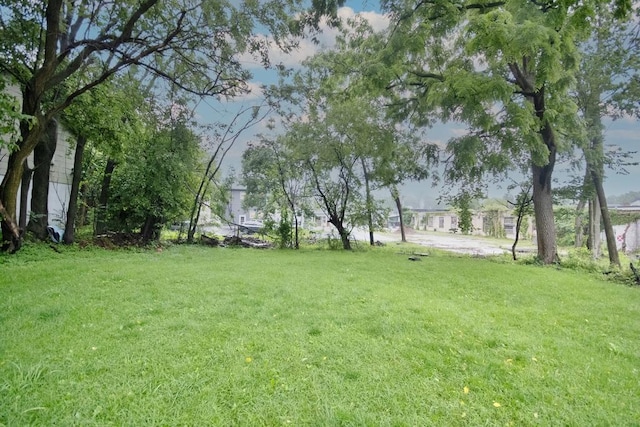 11 E Ave, Middletown, NY 10940 - view of green lawn