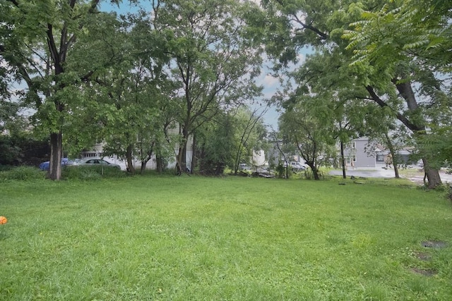 11 E Ave, Middletown, NY 10940 - view of grassy yard