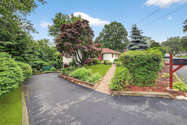 25 Tappan Ter, Briarcliff Manor, NY 10510 - view of property hidden behind natural elements with driveway