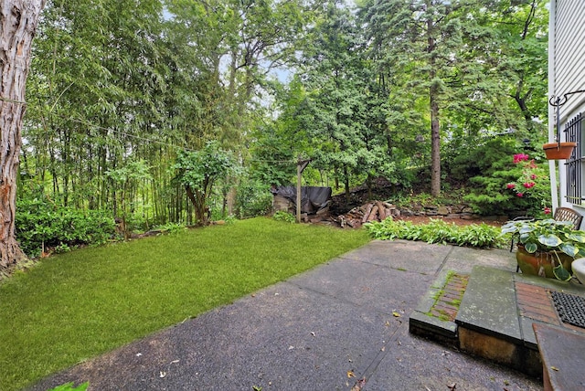 25 Tappan Ter, Briarcliff Manor, NY 10510 - view of grassy yard with a patio area