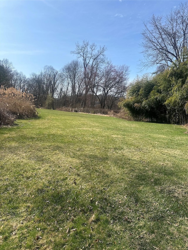 45 Mustato Rd, Katonah, NY 10536 - photo 10