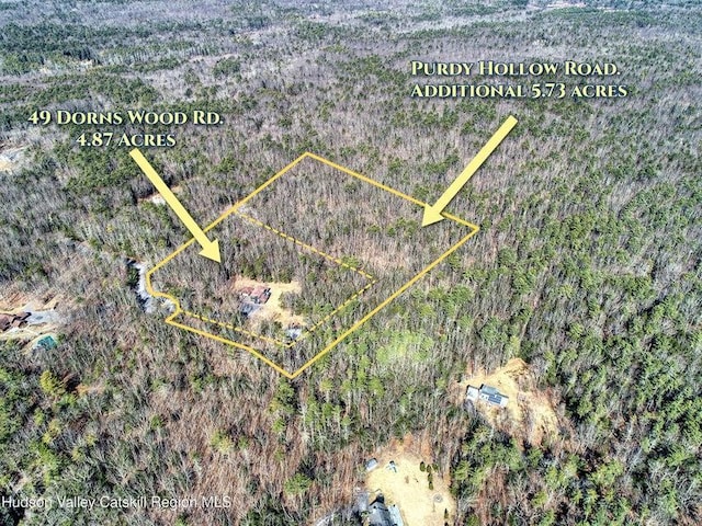 49 Dorns Wood Rd, Woodstock, NY 12498 - photo 3