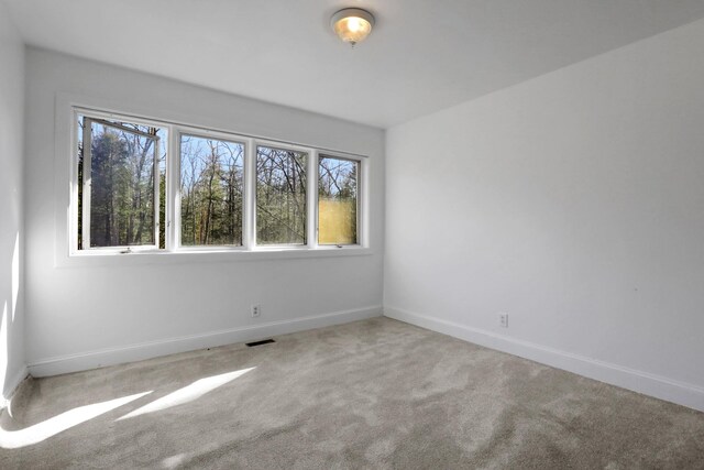 49 Dorns Wood Rd, Woodstock, NY 12498 - photo 23