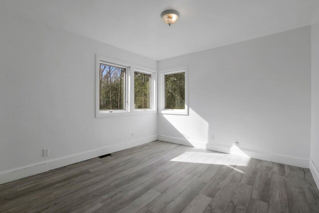 49 Dorns Wood Rd, Woodstock, NY 12498 - photo 25