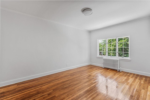 61-41 80th St, Middle Village, NY 11379 - photo 11