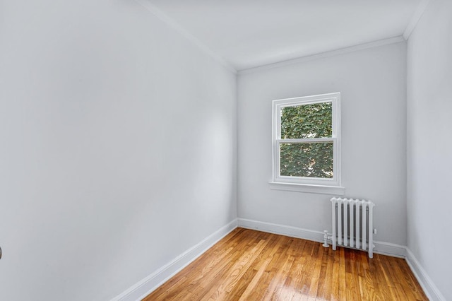 61-41 80th St, Middle Village, NY 11379 - photo 13