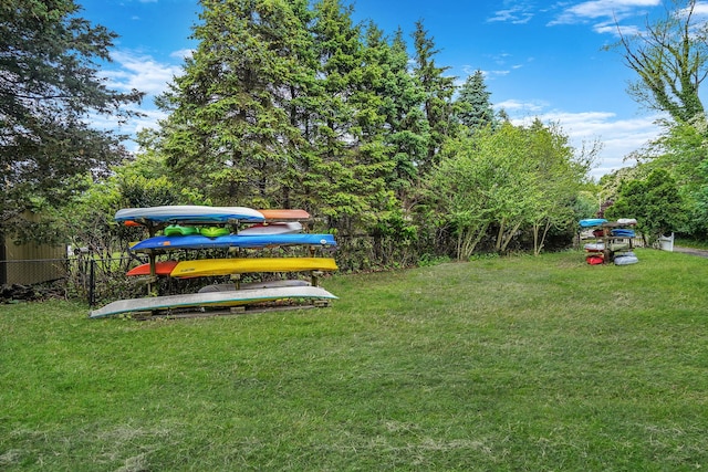 6 Youngs Ln, Setauket, NY 11733 - view of yard