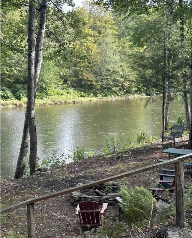 989 Chiloway Rd, Roscoe, NY 13856 - water view with a heavily wooded area