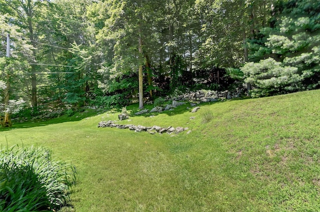 127 Bullet Hole Rd, Carmel, NY 10512 - view of grassy yard