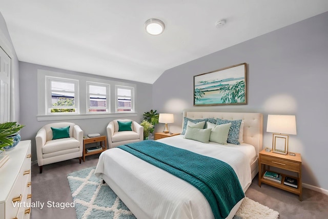 26 Rosedale Ave, Freeport, NY 11520 - bedroom with carpet floors and lofted ceiling