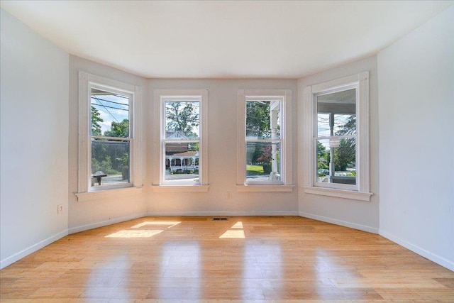 221 E Main St, Middletown, NY 10940 - unfurnished room featuring healthy amount of natural light and light wood-style flooring