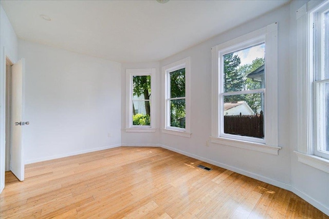 221 E Main St, Middletown, NY 10940 - empty room featuring light wood-type flooring and baseboards