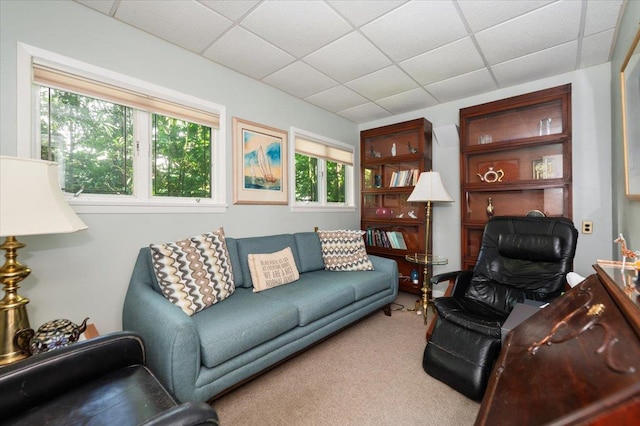 34 Elm St, Great Neck, NY 11021 - carpeted living area with a paneled ceiling