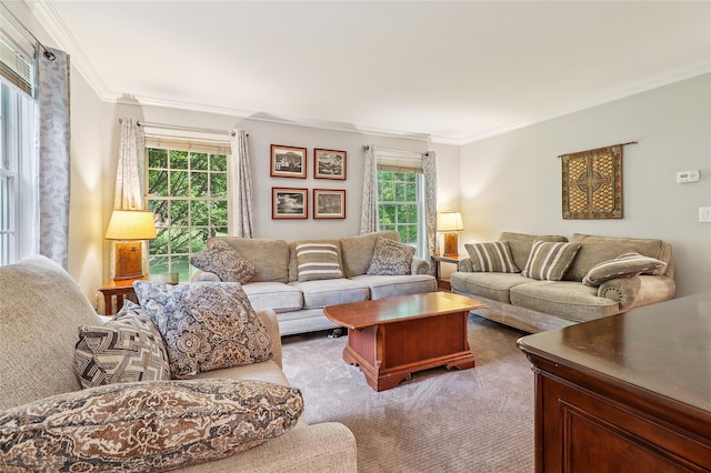 10 Jennifer Ln, Carmel, NY 10512 - carpeted living area with ornamental molding