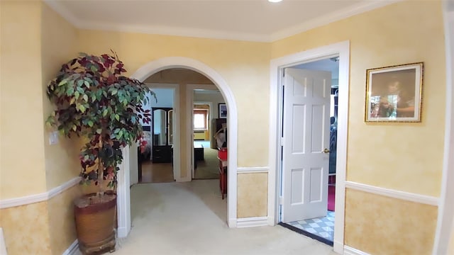 8177 Utopia Pkwy, Jamaica Estates, NY 11432 - photo 13