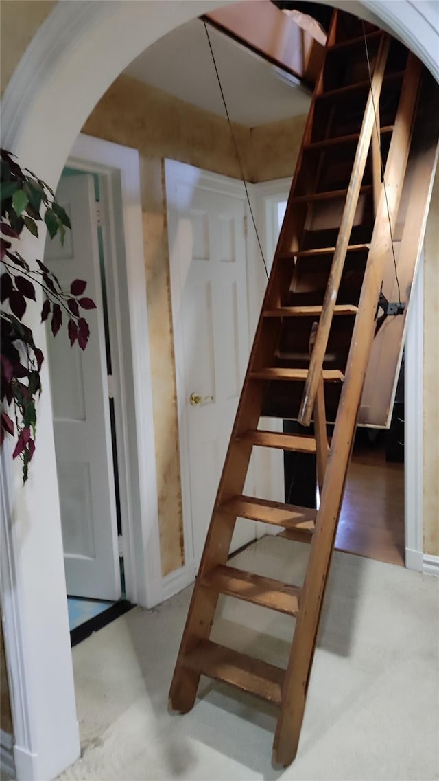 8177 Utopia Pkwy, Jamaica Estates, NY 11432 - photo 14
