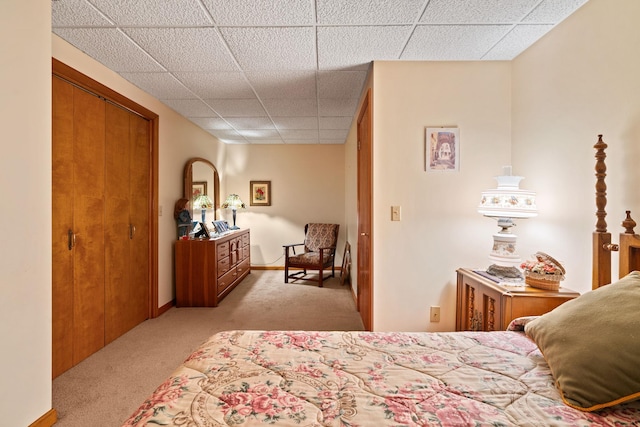41-59 Fox Mountain Rd, Livingston Manor, NY 12758 - bedroom with a paneled ceiling, light colored carpet, and a closet