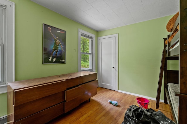 41-59 Fox Mountain Rd, Livingston Manor, NY 12758 - bedroom featuring light wood-style floors