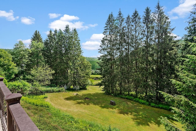 41-59 Fox Mountain Rd, Livingston Manor, NY 12758 - view of grassy yard with a wooded view