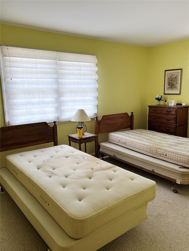 49 Sayres Path, Wainscott, NY 11975 - bedroom with carpet flooring