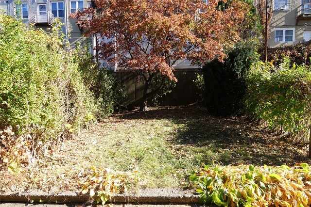4120 Murdock Ave, Bronx, NY 10466 - view of yard