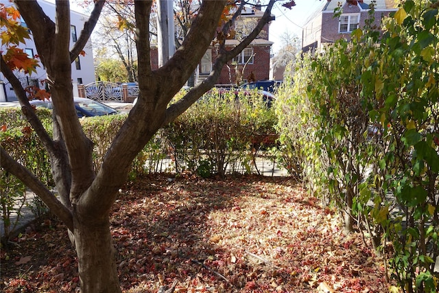 4120 Murdock Ave, Bronx, NY 10466 - view of yard
