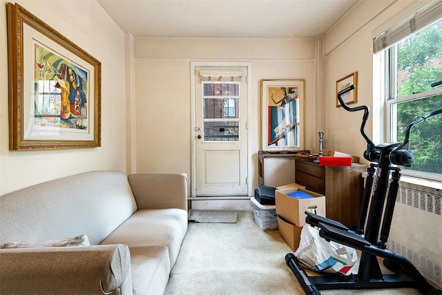 69-10 108th St Unit 1N, Forest Hills, NY 11375 - living area featuring carpet flooring