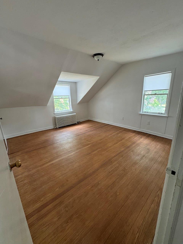 390 Atlantic Ave, East Rockaway, NY 11518 - additional living space with radiator, lofted ceiling, and wood finished floors