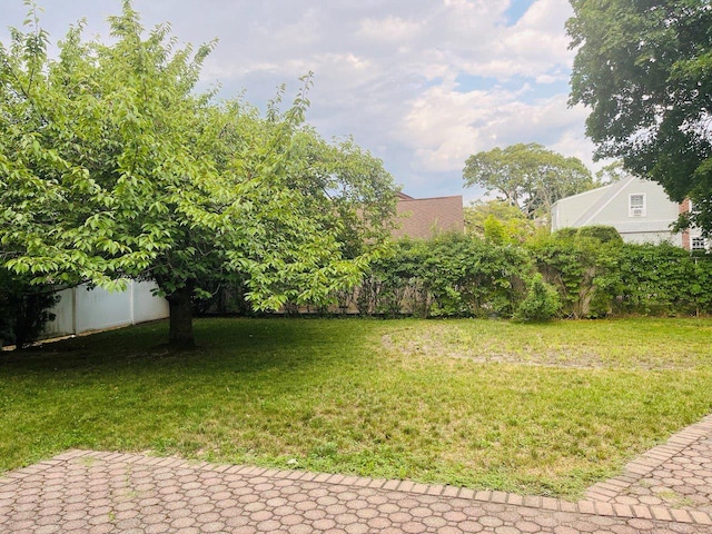 390 Atlantic Ave, East Rockaway, NY 11518 - view of yard