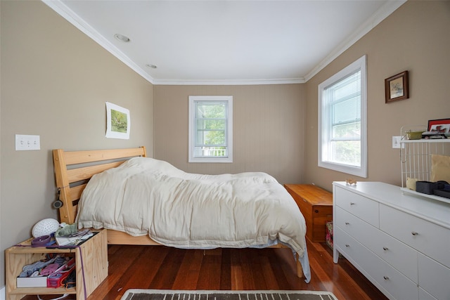 10 Tobacco Ln, Red Hook, NY 12571 - bedroom featuring wood finished floors and crown molding