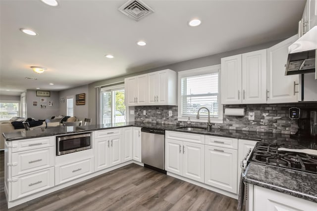 393 S 4th St, Lindenhurst, NY 11757 - kitchen with stainless steel appliances, a peninsula, healthy amount of natural light, and recessed lighting