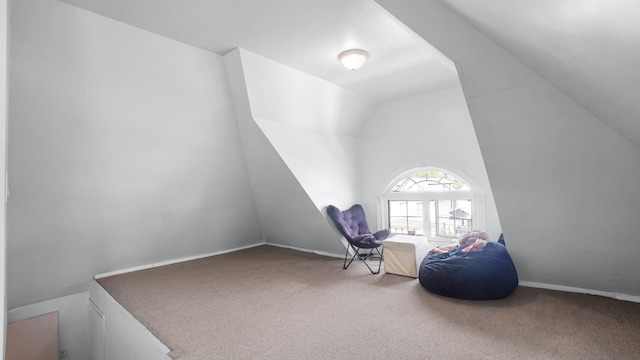 89-10 189th St, Hollis, NY 11423 - bonus room featuring carpet floors and lofted ceiling