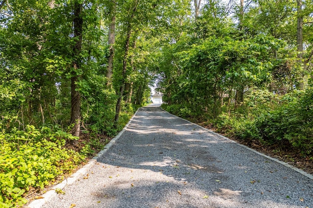 4510 Peconic Bay Blvd, Laurel, NY 11948 - view of street featuring a view of trees