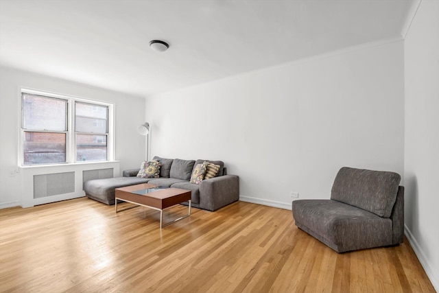 63-60 102nd St Unit A8, Rego Park, NY 11374 - living area with light wood-style floors