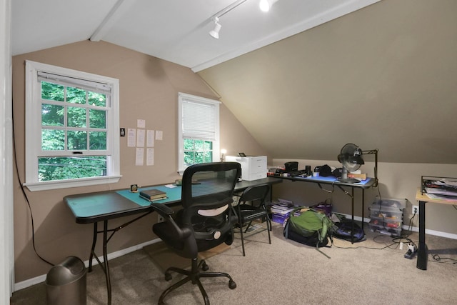 525 Myrtle Ave, Gardiner, NY 12589 - carpeted office space featuring vaulted ceiling and healthy amount of natural light