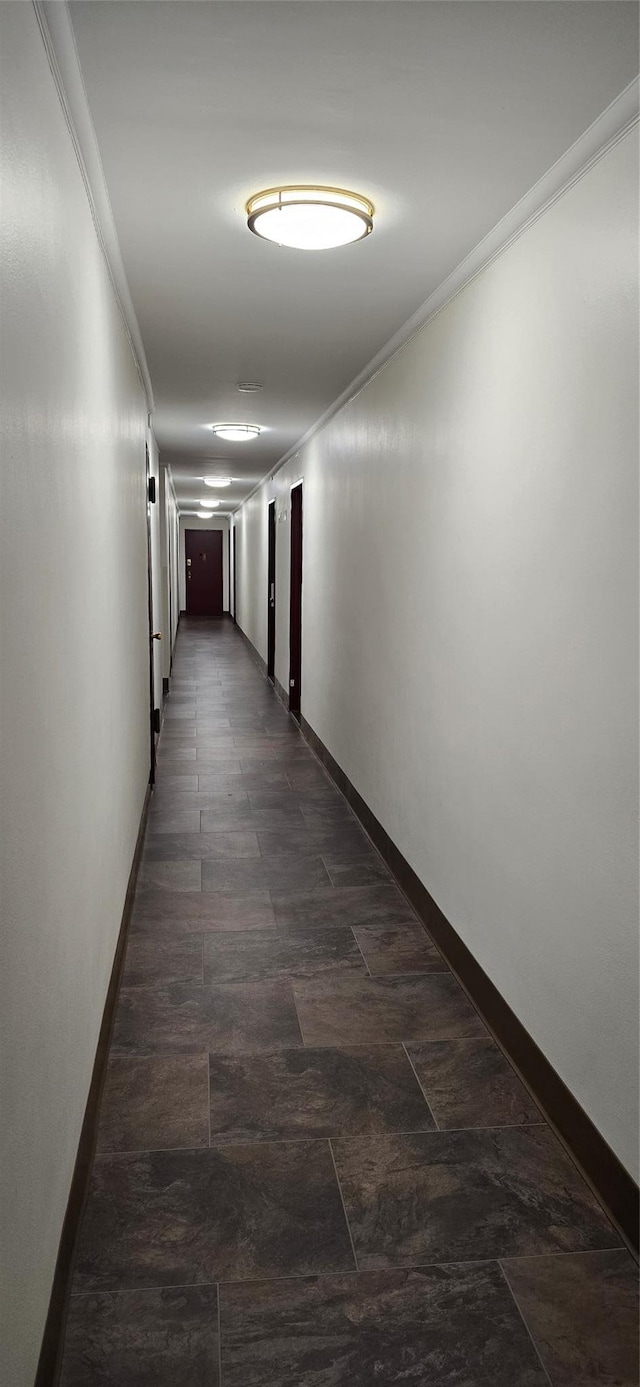 164-20 Highland Ave Unit 7S, Jamaica Hills, NY 11432 - photo 10