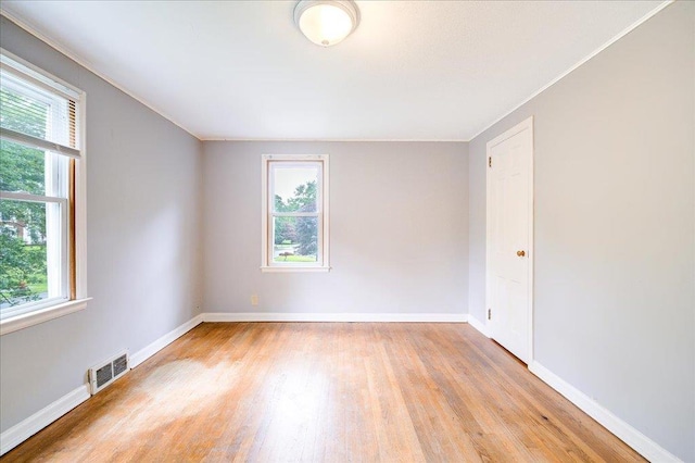 17 Seaman Rd, Poughkeepsie, NY 12601 - unfurnished room featuring plenty of natural light, light wood-style floors, and ornamental molding