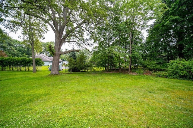 17 Seaman Rd, Poughkeepsie, NY 12601 - view of green lawn