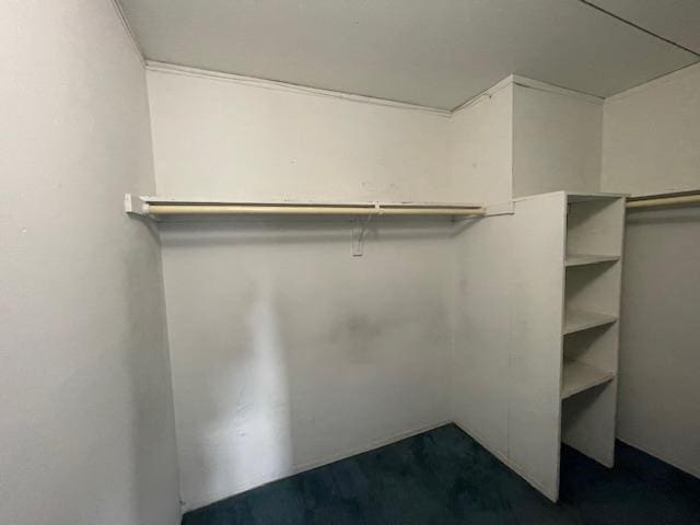 100 Clinton Ave Unit 3P, Mineola, NY 11501 - view of spacious closet