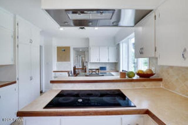 312 E Ann St, Milford, PA 18337 - kitchen with black electric cooktop, white cabinets, range hood, and light countertops