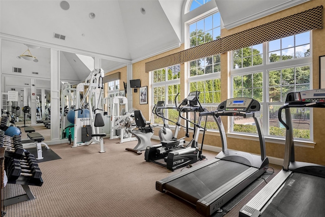 402 Waterview Dr, Poughkeepsie, NY 12601 - workout area with high vaulted ceiling and carpet
