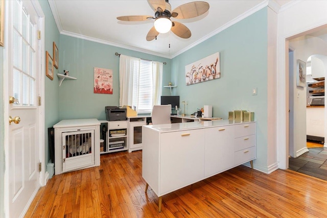 2 Croydon Dr, North Bellmore, NY 11710 - office space featuring a ceiling fan, light wood finished floors, and ornamental molding