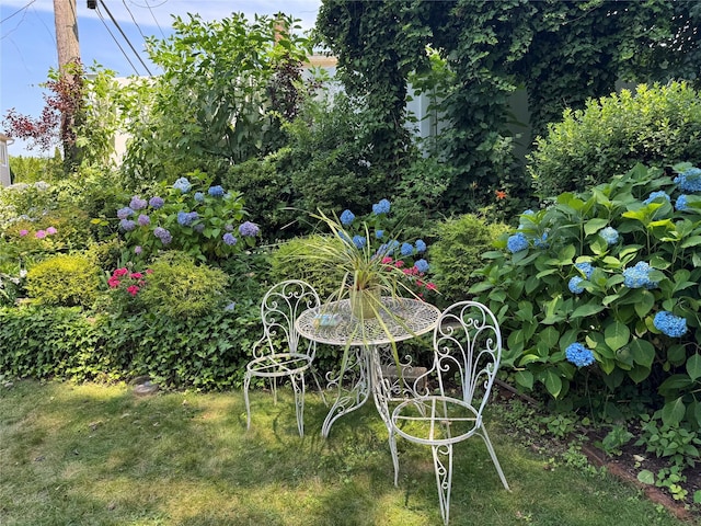 48 Marlene Dr, Syosset, NY 11791 - view of yard