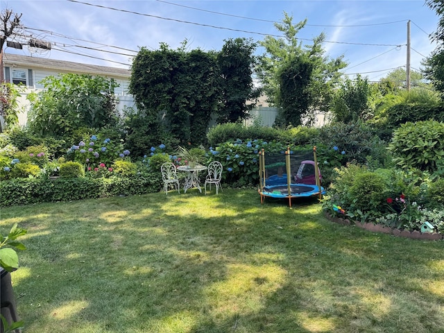48 Marlene Dr, Syosset, NY 11791 - view of yard featuring a trampoline
