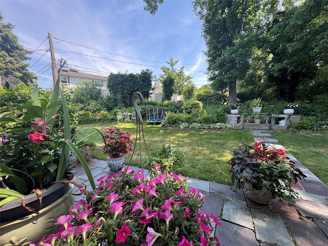 48 Marlene Dr, Syosset, NY 11791 - view of grassy yard