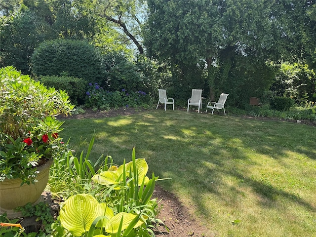 48 Marlene Dr, Syosset, NY 11791 - view of green lawn