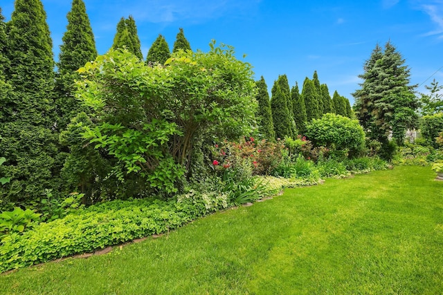 48 Marlene Dr, Syosset, NY 11791 - view of green lawn